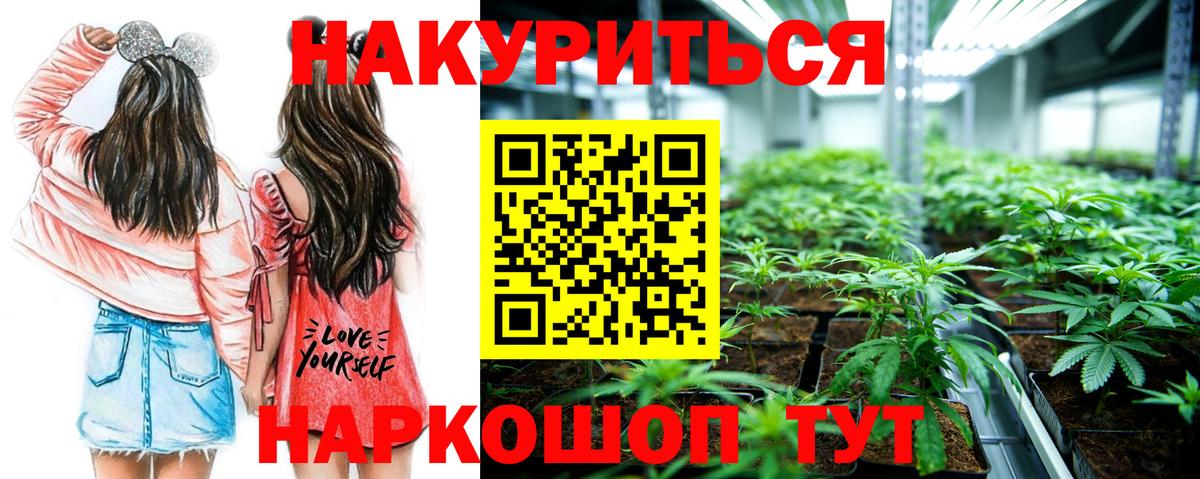 Конопля конопля Ухта